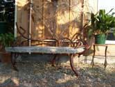 Ent's Bench