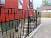 Fence and Railing